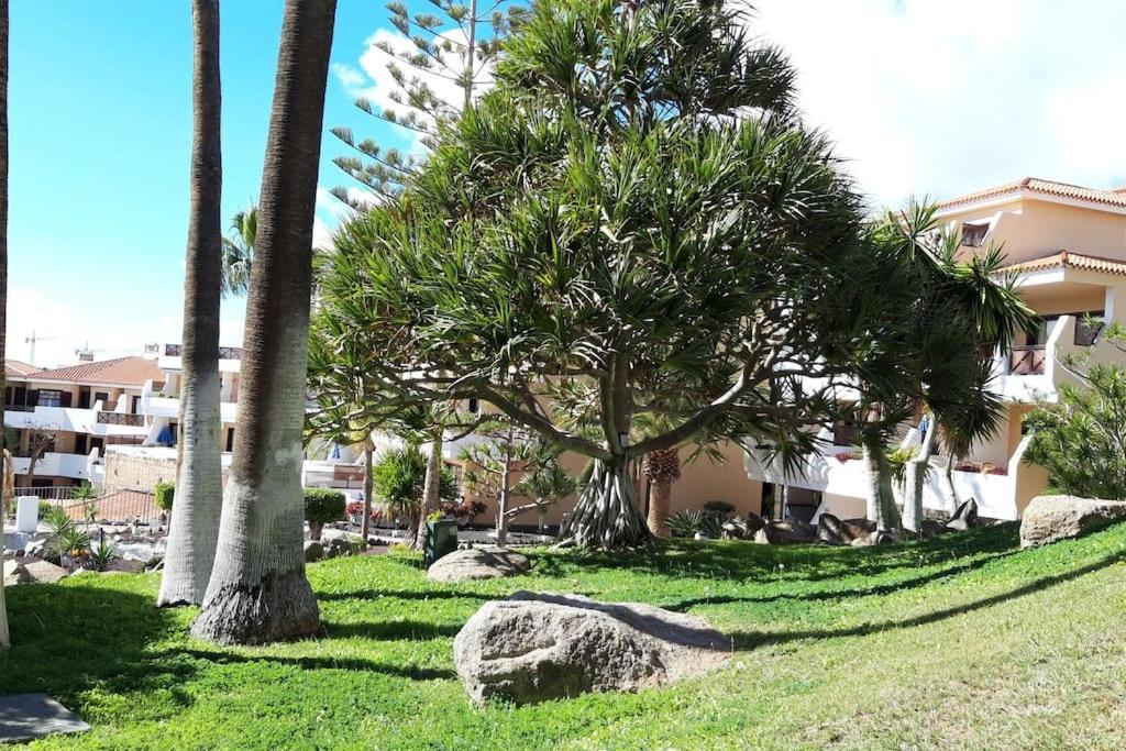 Apartment With Pool And Gardens Near The Coast サンミゲル・デ・アボナ エクステリア 写真