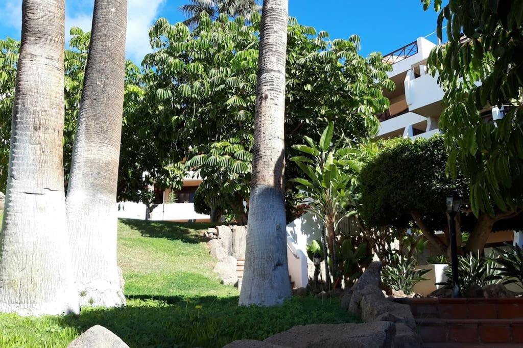 Apartment With Pool And Gardens Near The Coast サンミゲル・デ・アボナ エクステリア 写真